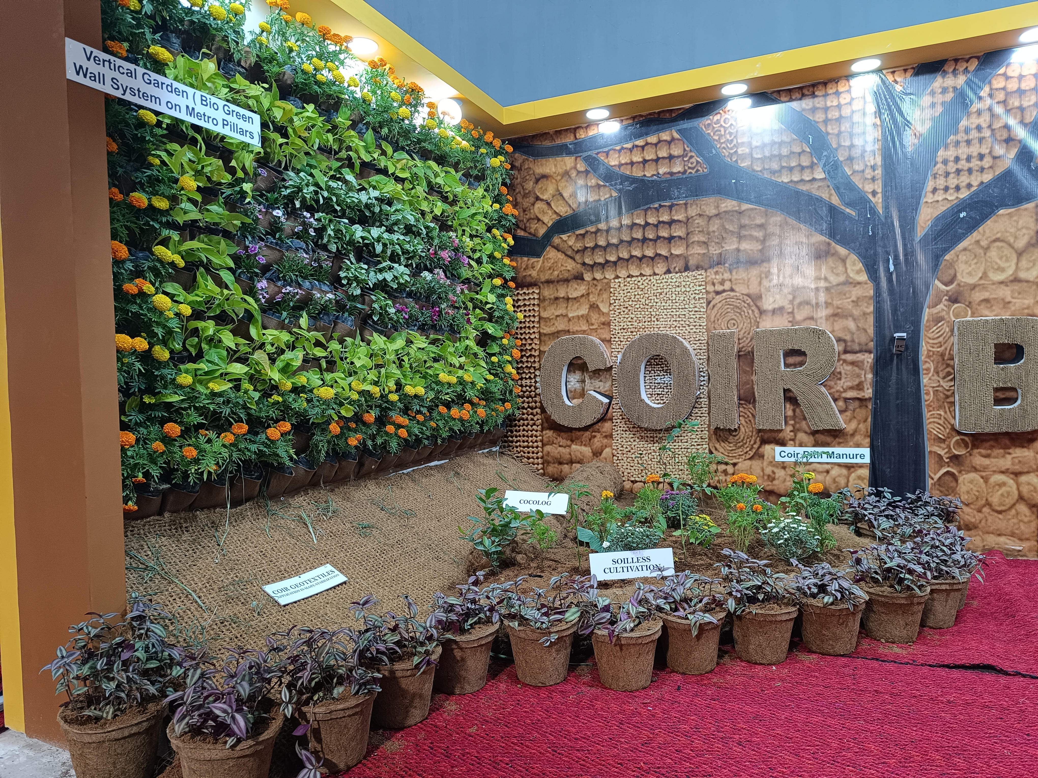 पिट को मोल्ड में कम्प्रेस कर दो हिस्सों में बांटा