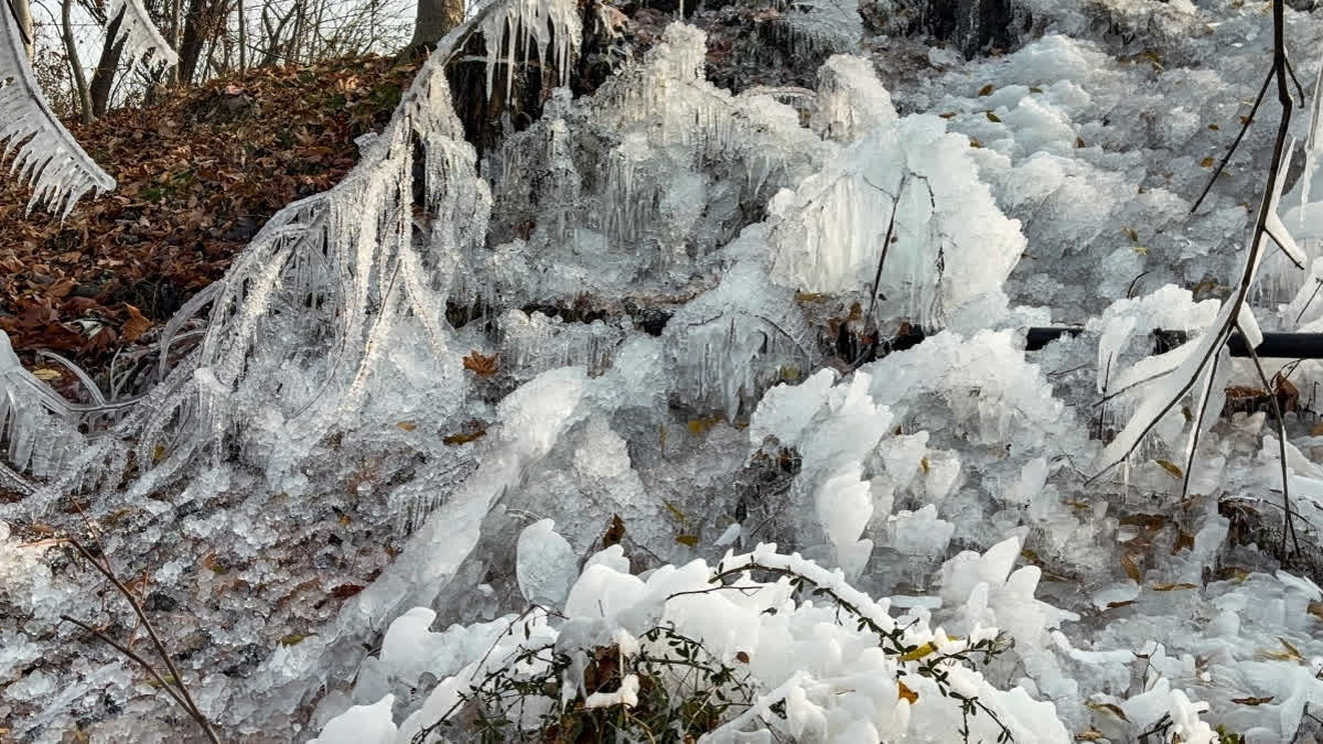 Cold Wave Continues Across Jammu Kashmir; Srinagar Shivers At -1.6°C, Zojila Records A Chilling -16°C Cold Wave Continues Across Jammu Kashmir; Srinagar Shivers At -1.6°C, Zojila Records A Chilling -16°C