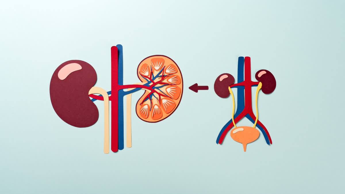 BHOPAL YOUNG PEOPLE KIDNEY DAMAGED