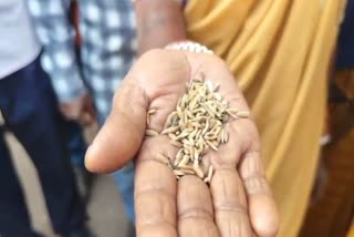 Mahasamund Farmers Protest