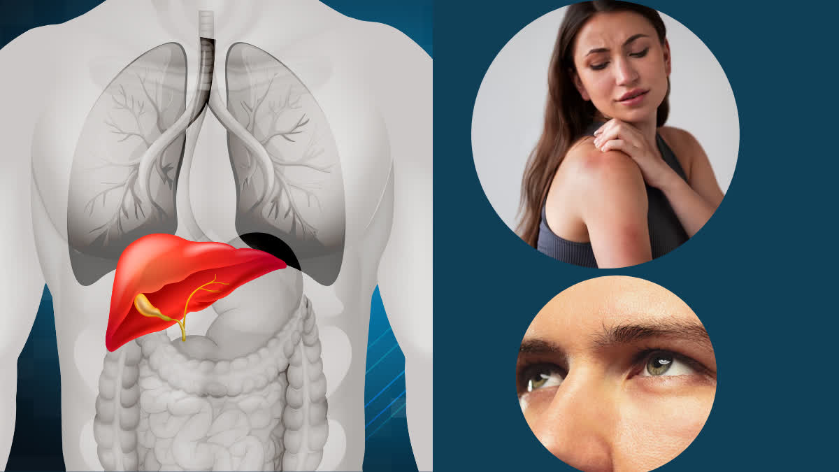 लिवर खराब होने से पहले शरीर देता है ये संकेत, भूलकर भी न करे नजरअंदाज