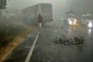 Punjab Road accident