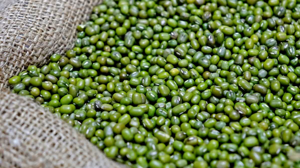 NARMADAPURAM WAREHOUSE MUNG STOLEN