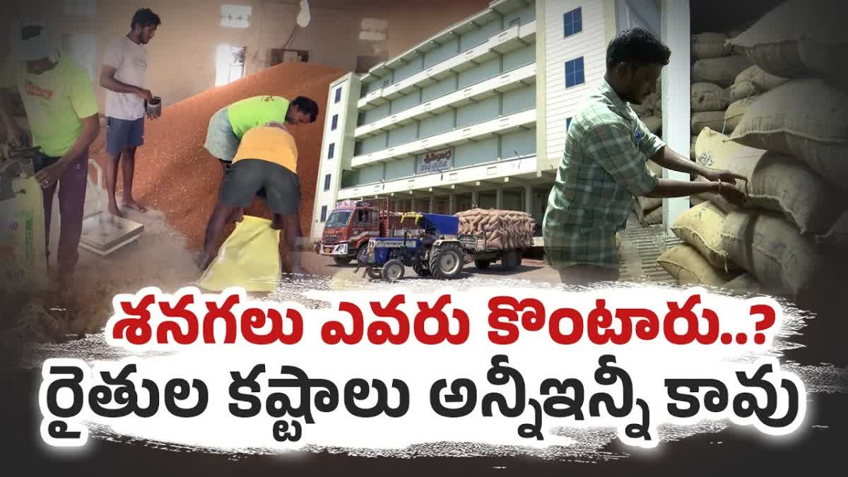 Chickpeas Farmers Are In Trouble As Import Duty Is Reduced