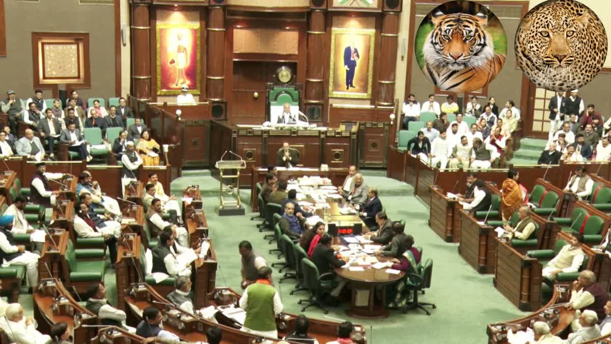 MP Assembly budget session