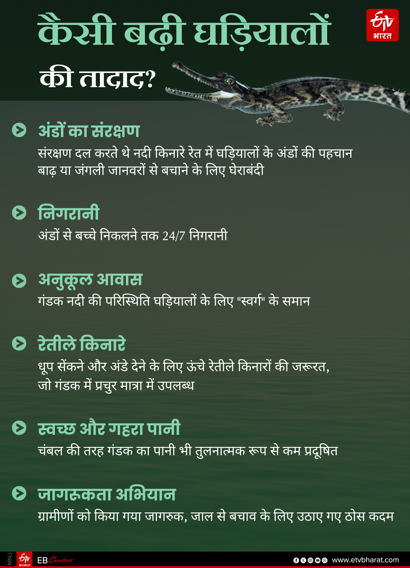 GHARIAL IN BIHAR