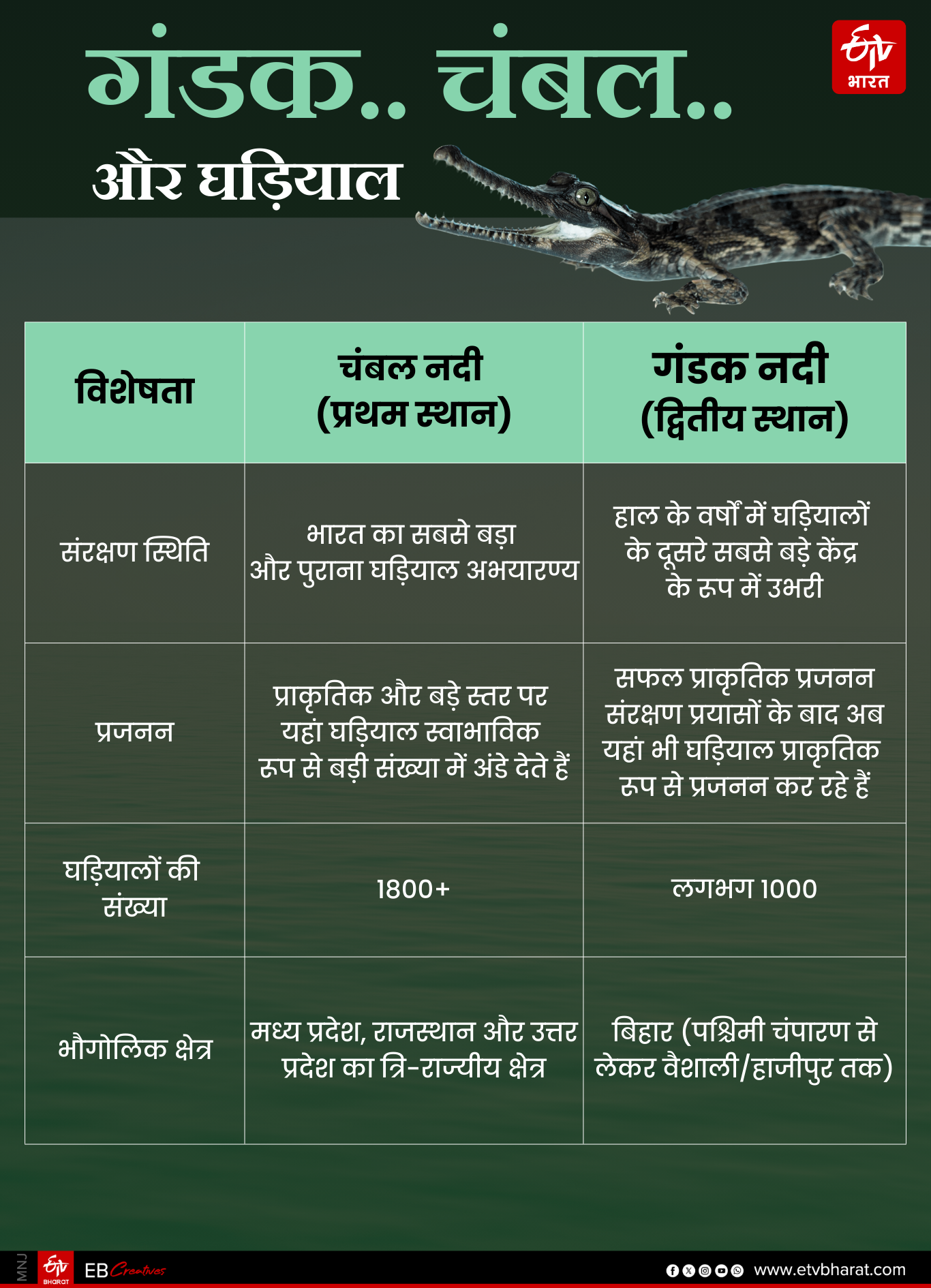 GHARIAL IN BIHAR
