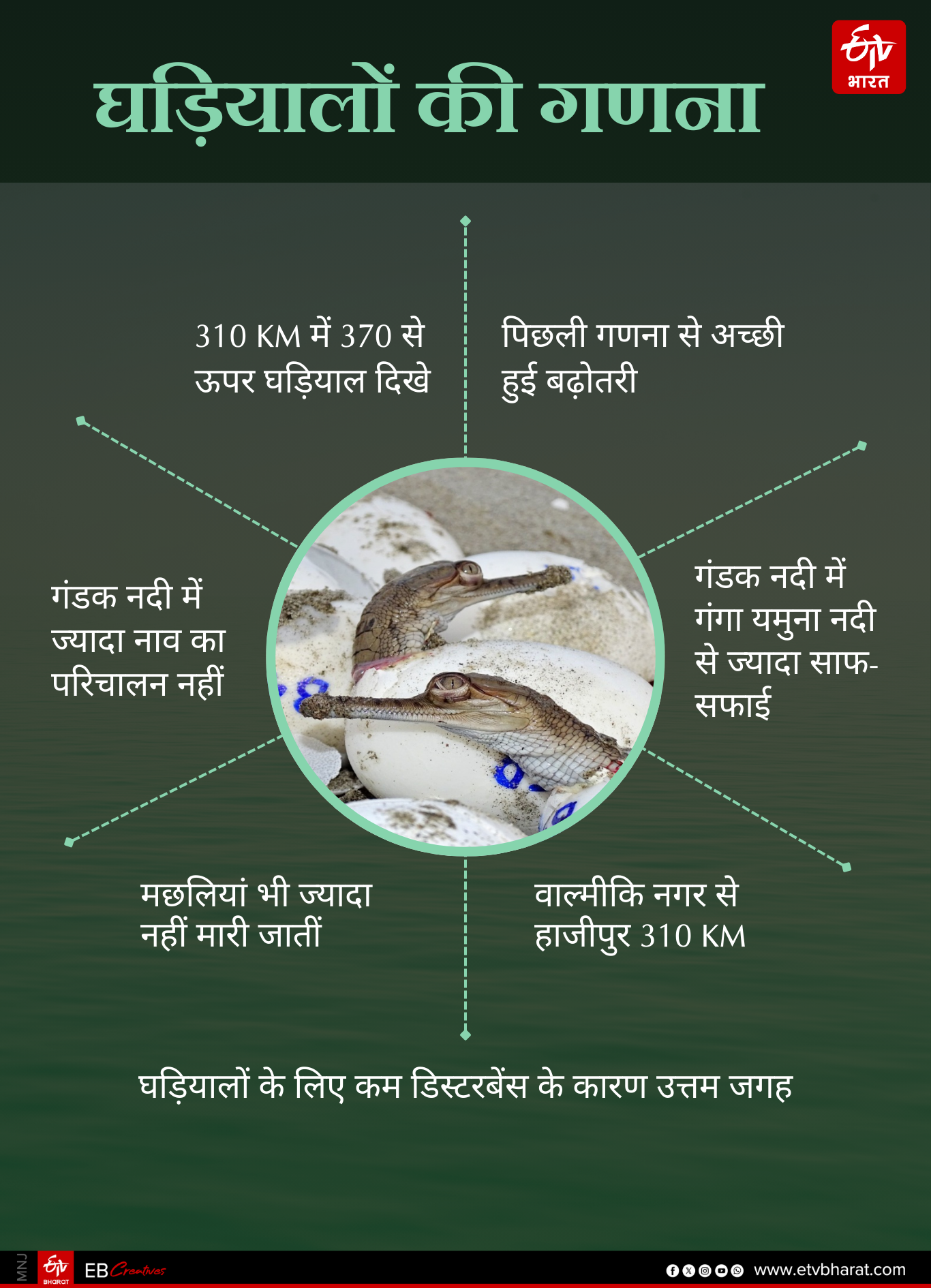GHARIAL IN BIHAR