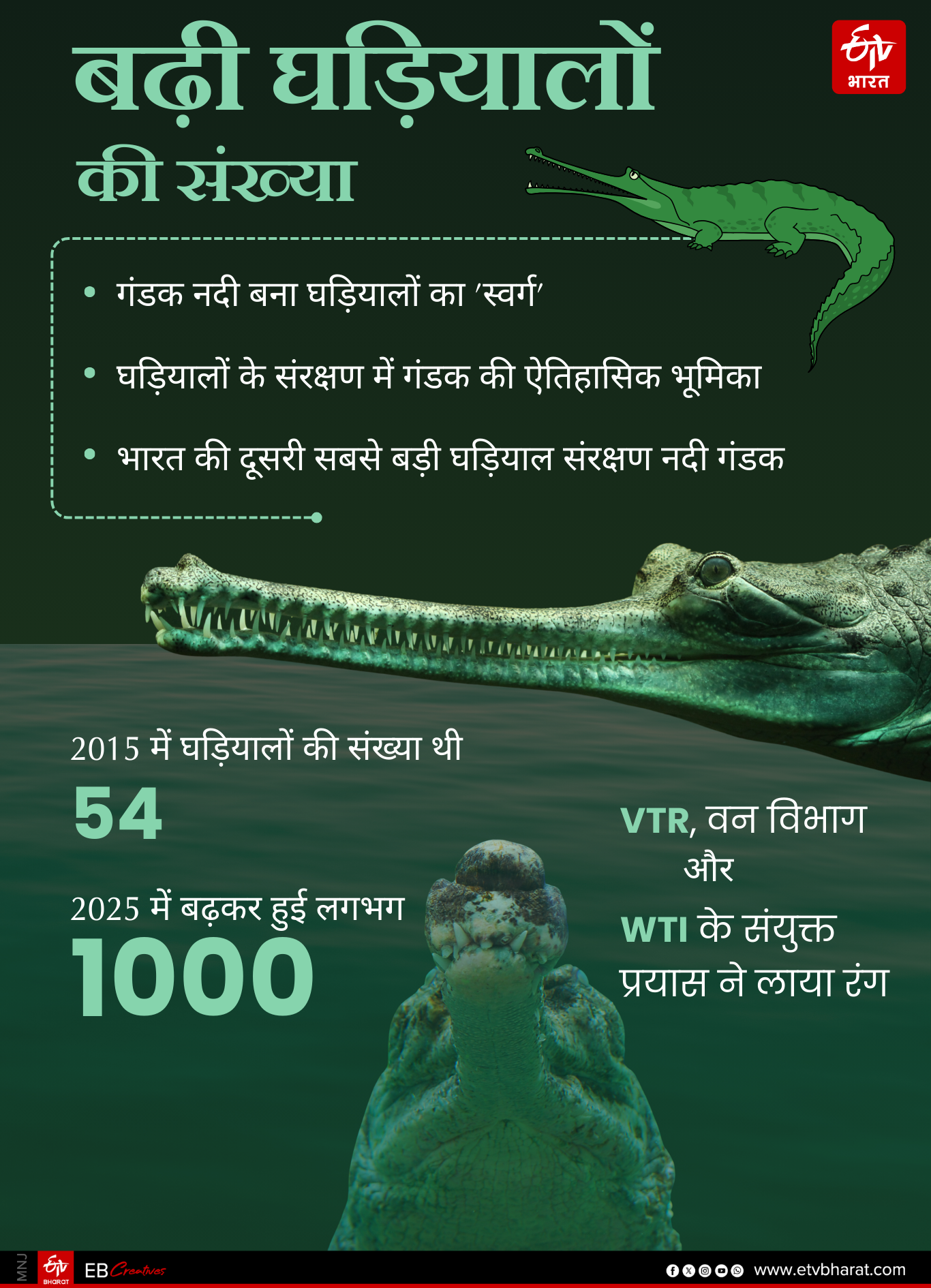 GHARIAL IN BIHAR