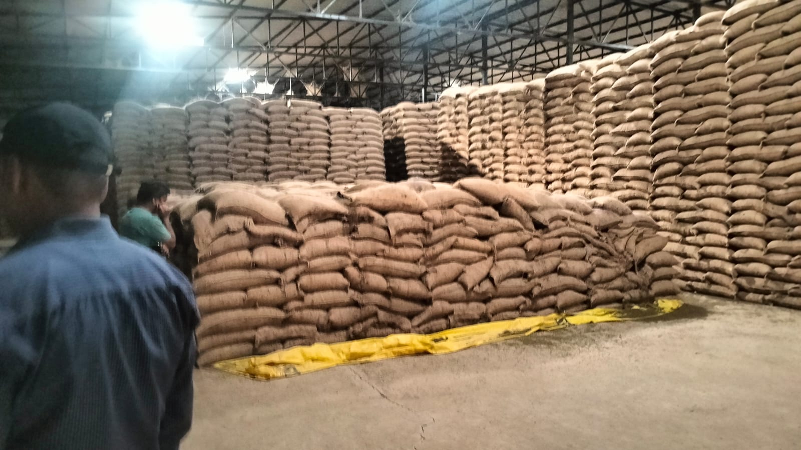 NARMADAPURAM GOVT MUNG BEAN STOLEN