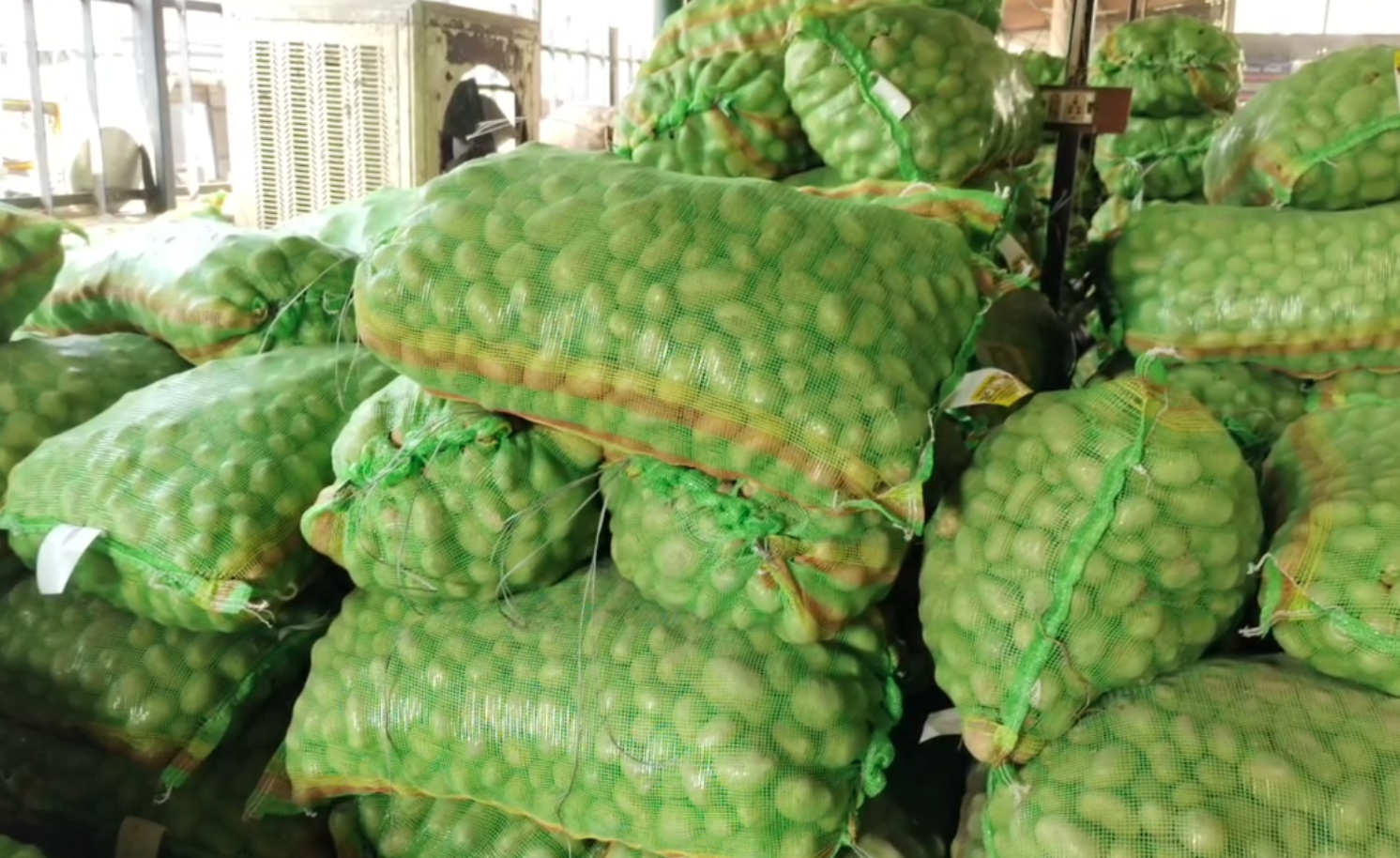 LOW PRICES POTATO CROP