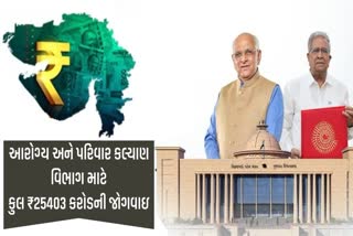 GUJARAT BUDGET: આરોગ્ય અને પરિવાર કલ્યાણ વિભાગ માટે કુલ ₹25403 કરોડની જોગવાઇ
