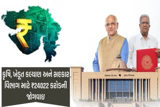 GUJARAT BUDGET: કૃષિ, ખેડૂત કલ્યાણ અને સહકાર વિભાગ માટે કુલ ₹24022 કરોડની જોગવાઇ
