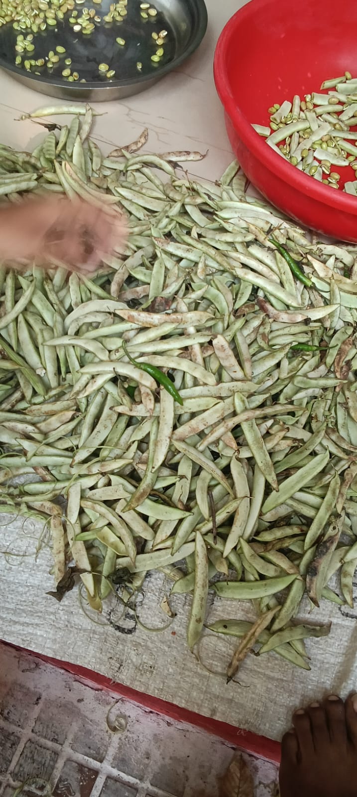 Kawardha hostel complaint