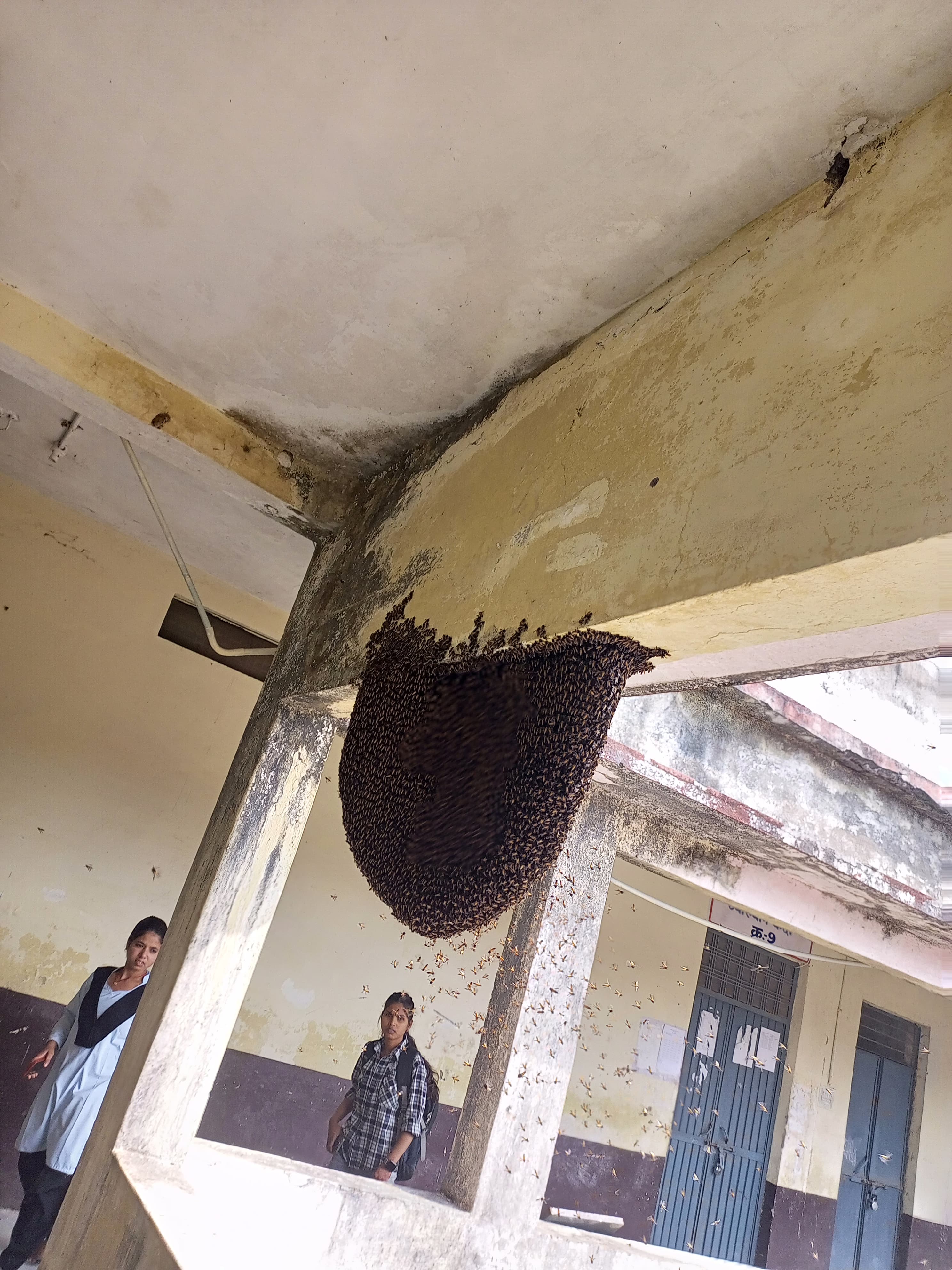 MP STUDENT HIT BEEHIVE DURING REEL