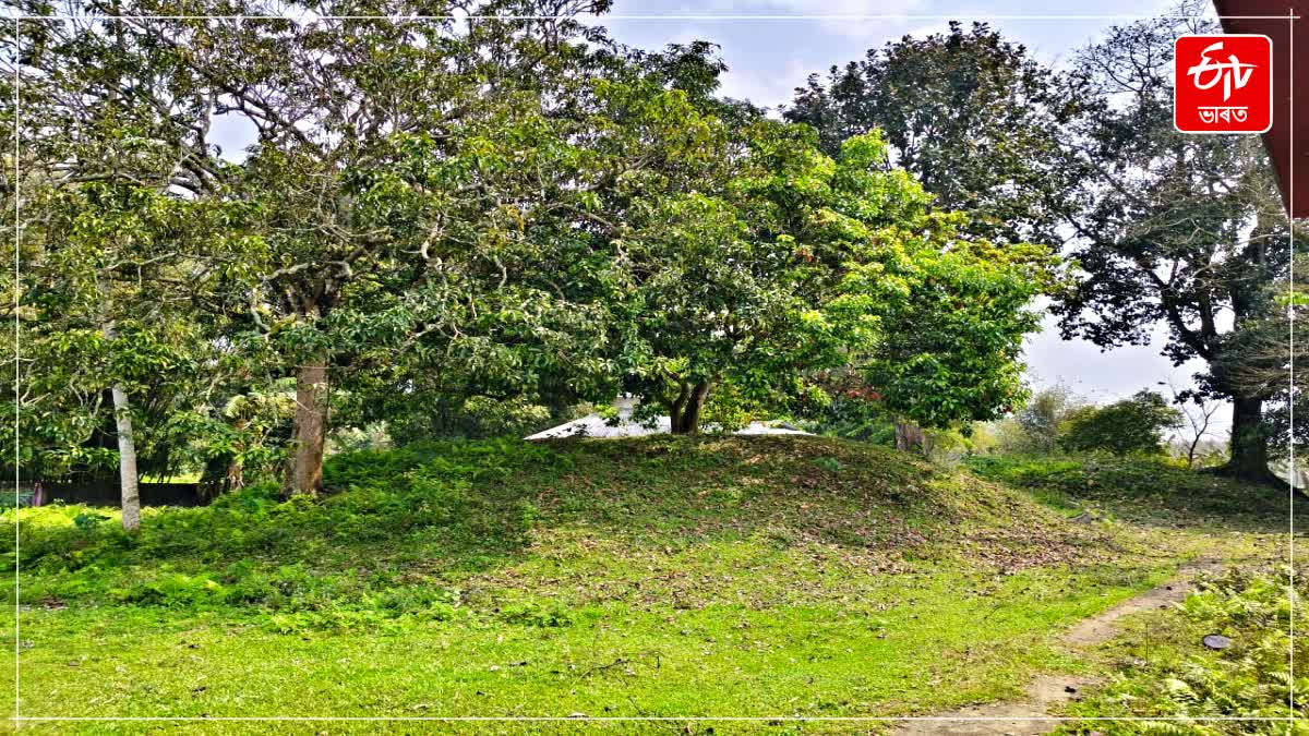 Historic Suhungmung Maidam