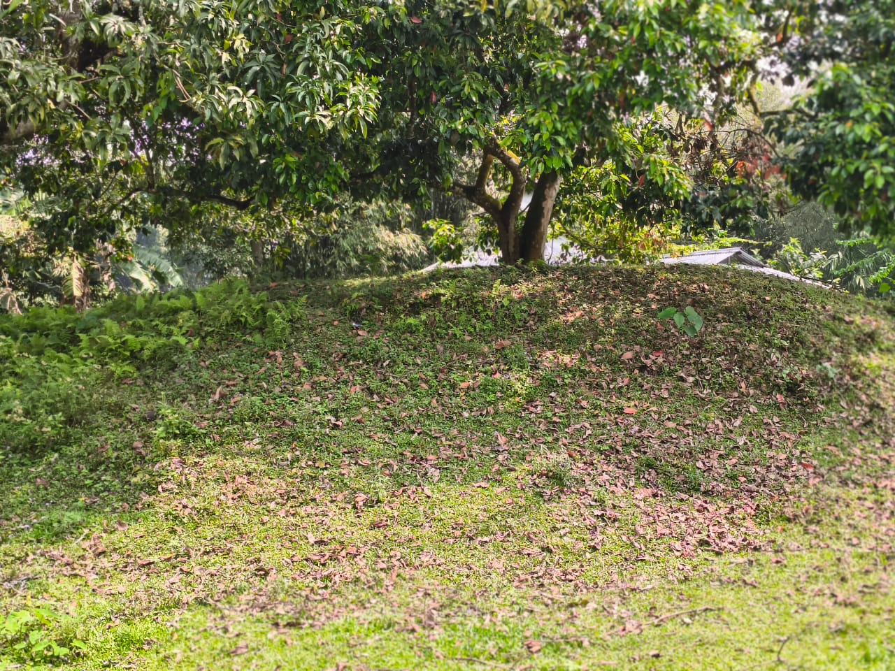 Historic Suhungmung Maidam