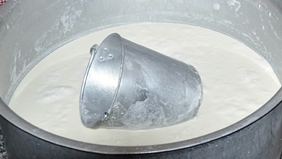 Fake Milk Factory Busted In Gujarat, Chemicals and 3,000+Litres Seized