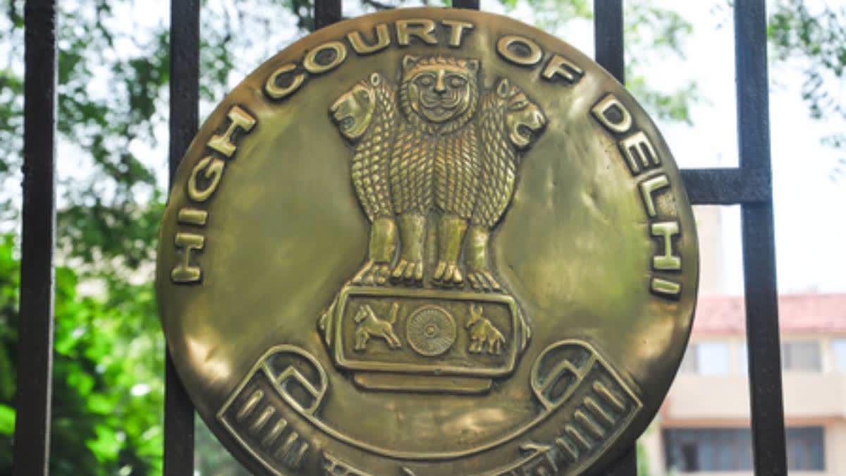 A file photo of the Delhi High Court.