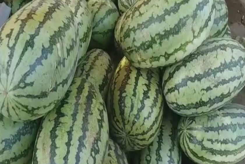 इंजेक्शन वाला तरबूज बच्चों की सेहत का दुश्मन, खरीदते वक्त ये सावधानी ...