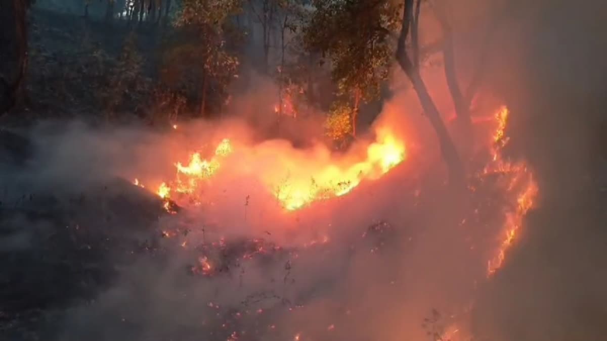 उत्तराखंड में ऐसे कंट्रोल करेंगे फॉरेस्ट फायर? ज्यादातर जिलों में गठित ...