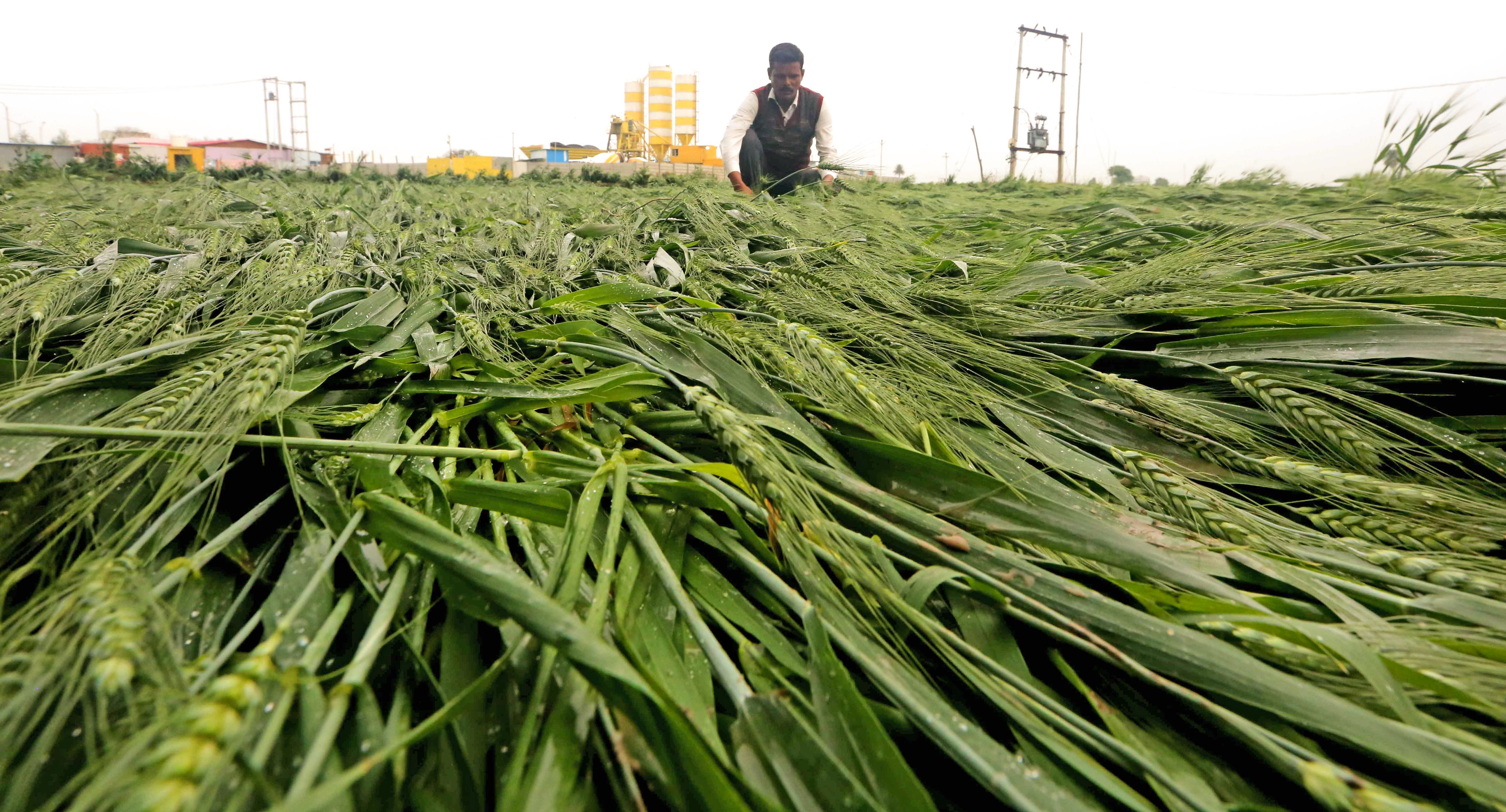 India's 2047 Goal: Universalisation Of Insurance In Agriculture And Allied Sectors In A Climate-Risk Era