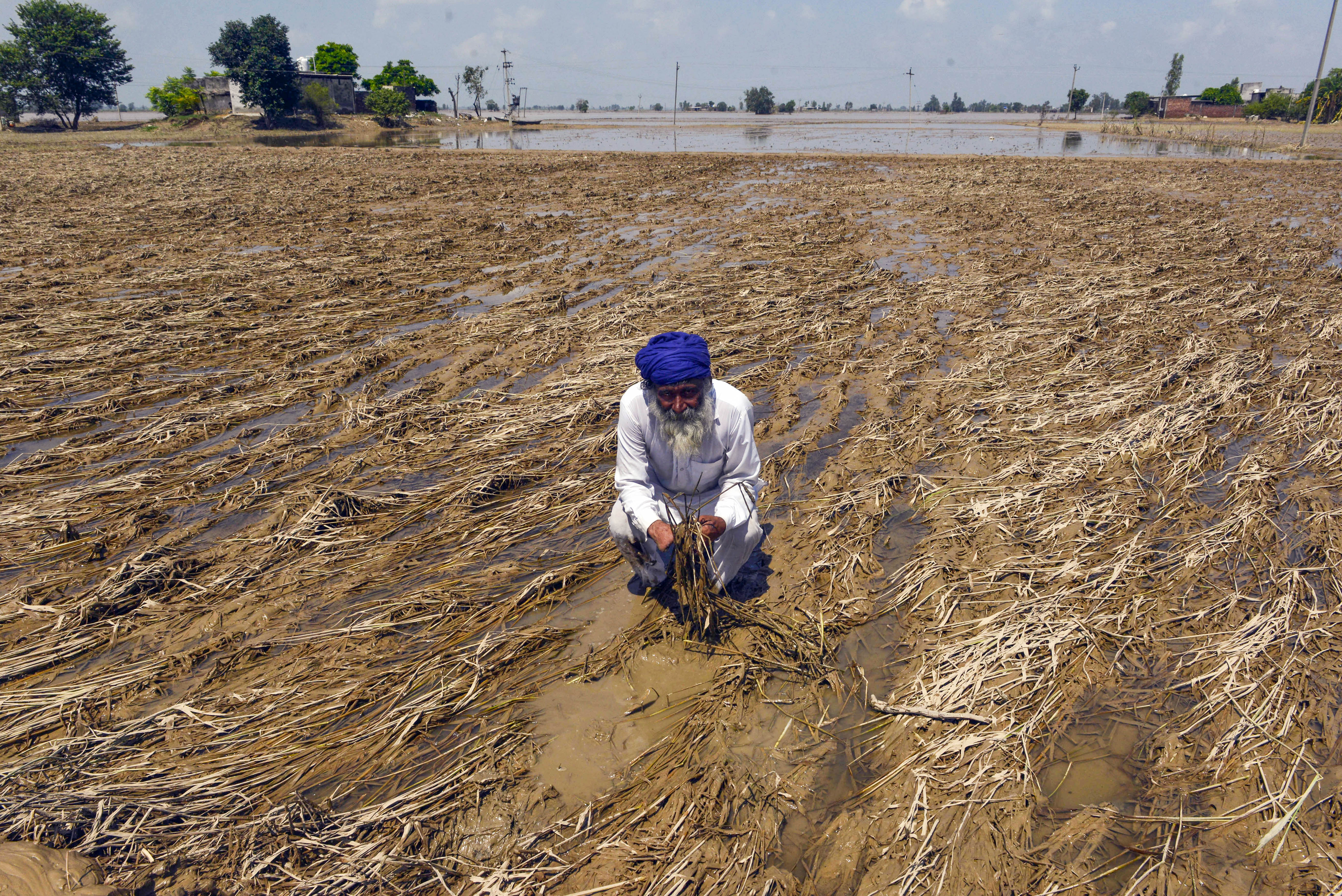 India's 2047 Goal: Universalisation Of Insurance In Agriculture And Allied Sectors In A Climate-Risk Era