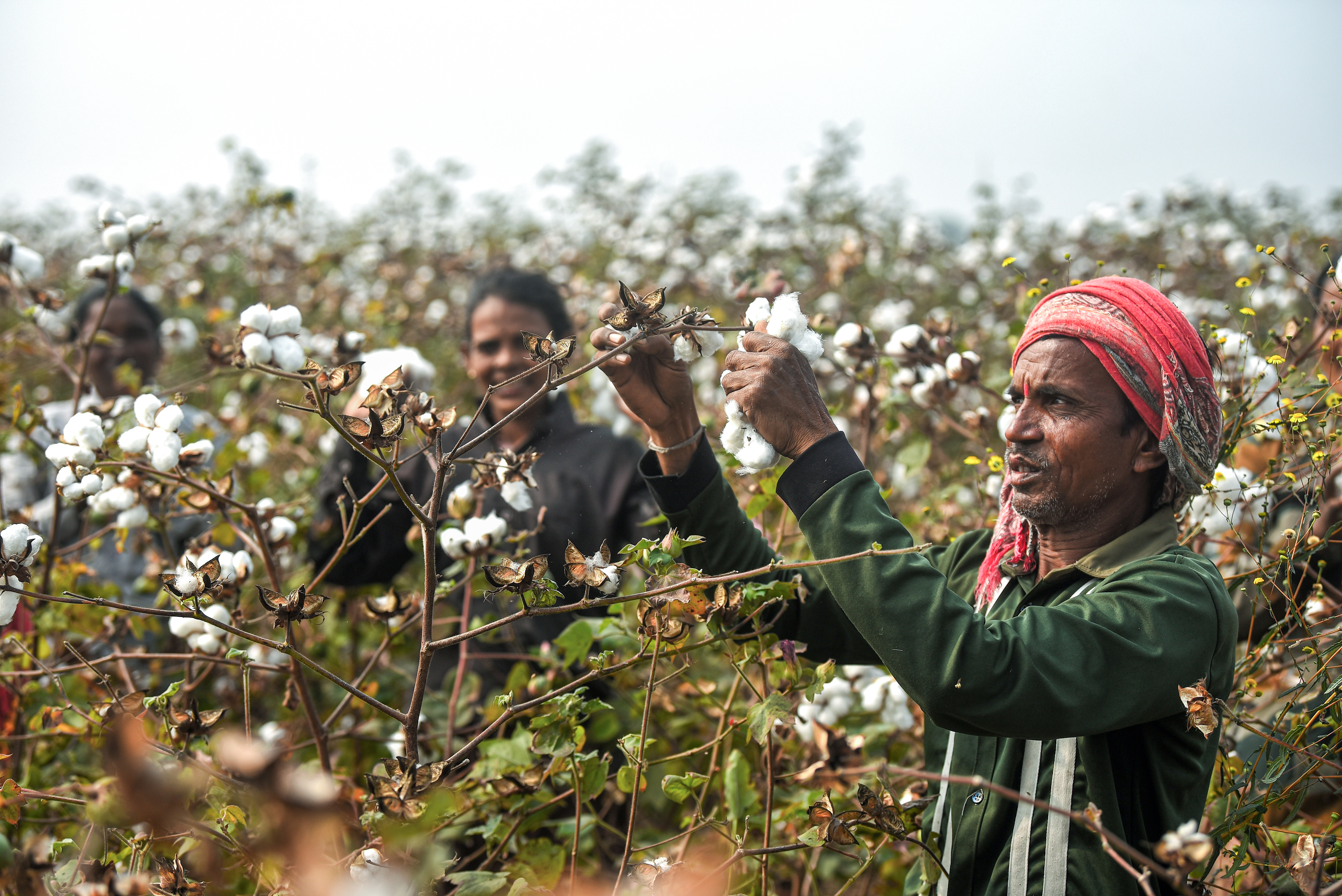 India's 2047 Goal: Universalisation Of Insurance In Agriculture And Allied Sectors In A Climate-Risk Era