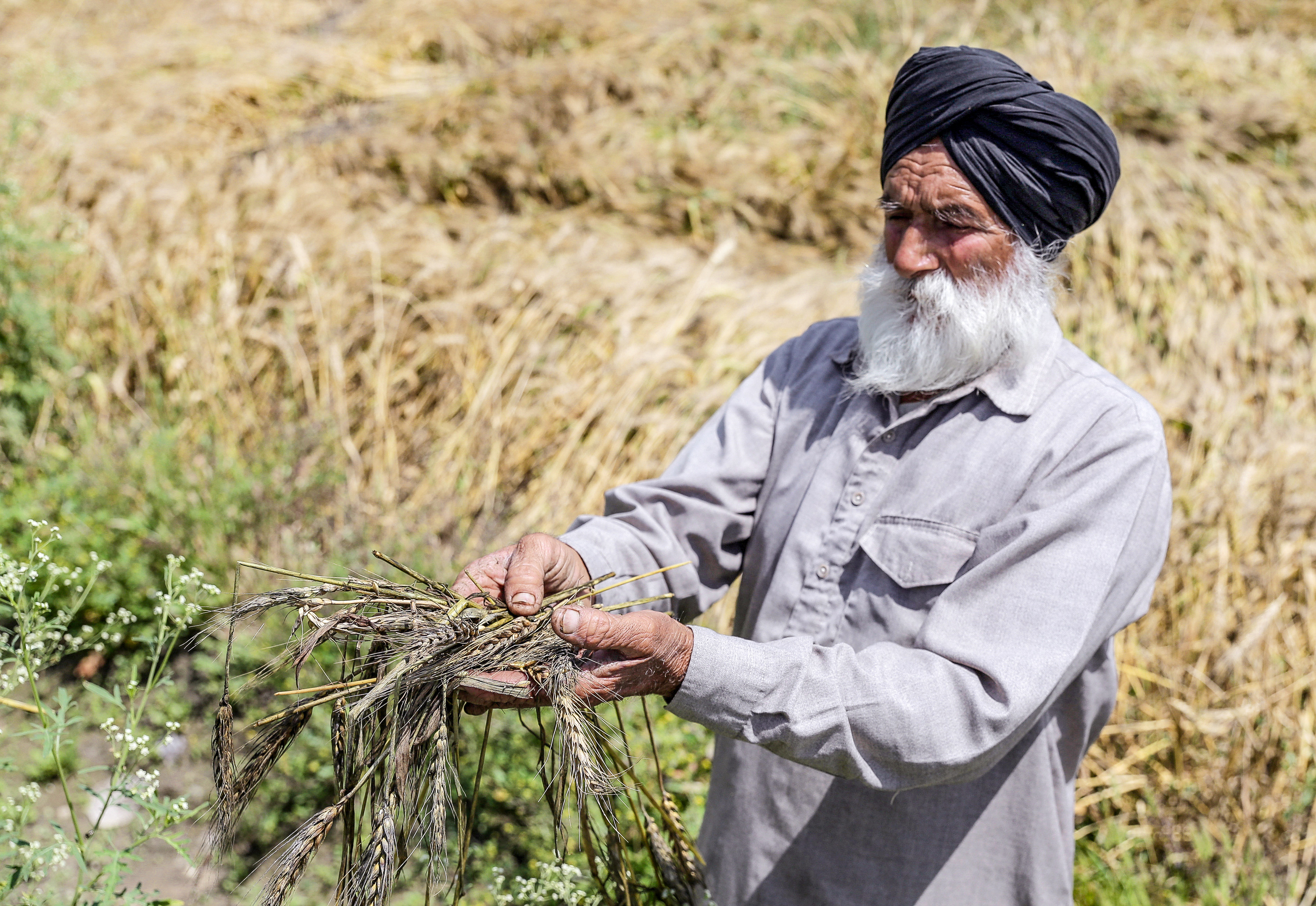 India's 2047 Goal: Universalisation Of Insurance In Agriculture And Allied Sectors In A Climate-Risk Era