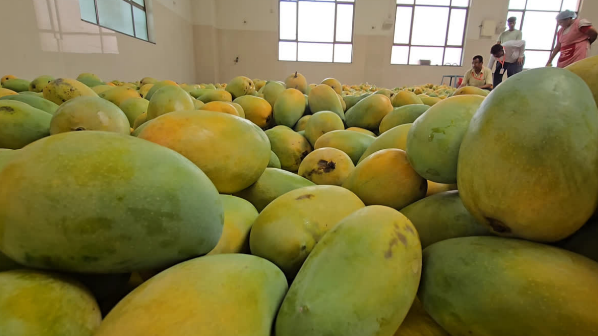 calcium carbide completely banned for fruit ripening