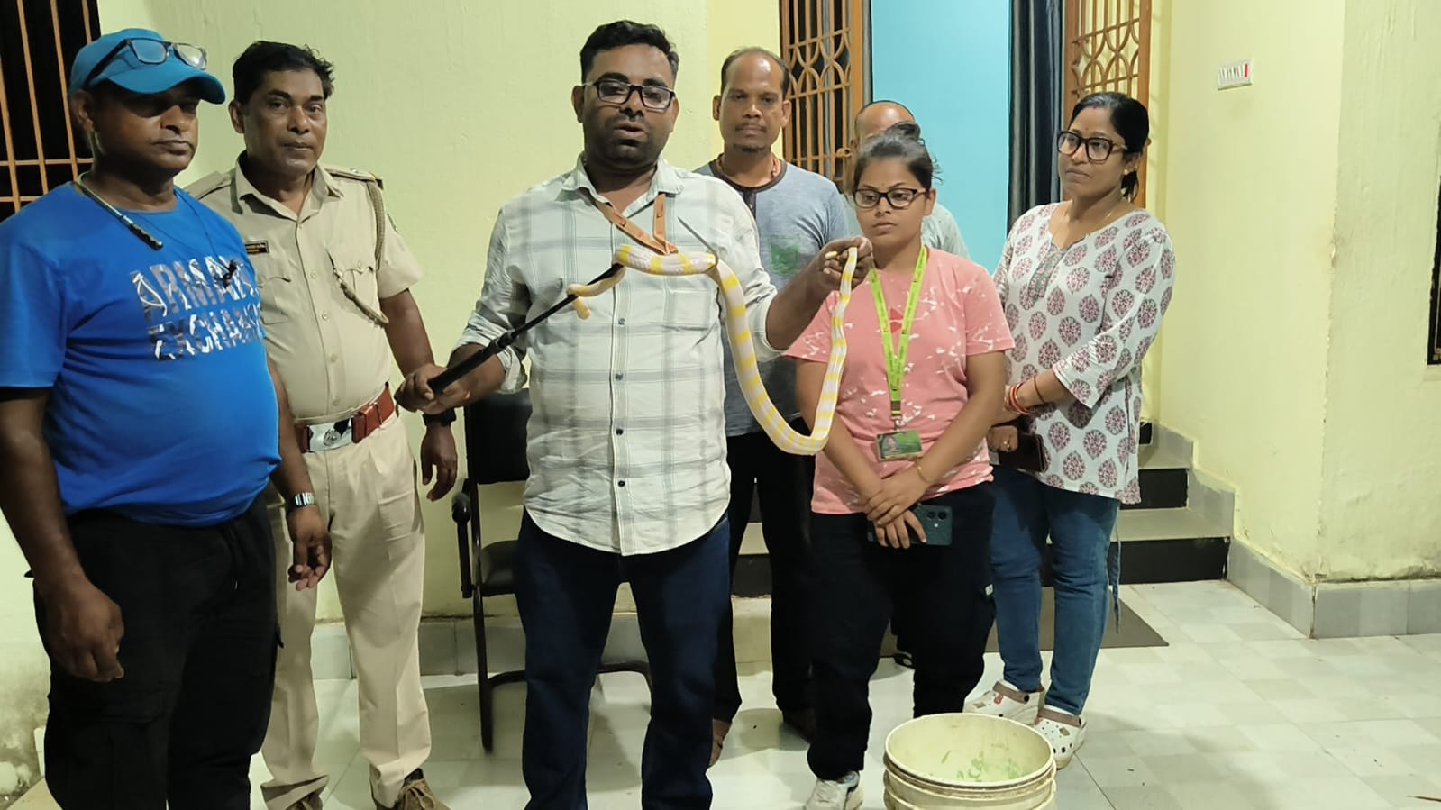 ବିରଳ ଆଲବିନୋ ରଣା ଉଦ୍ଧାର