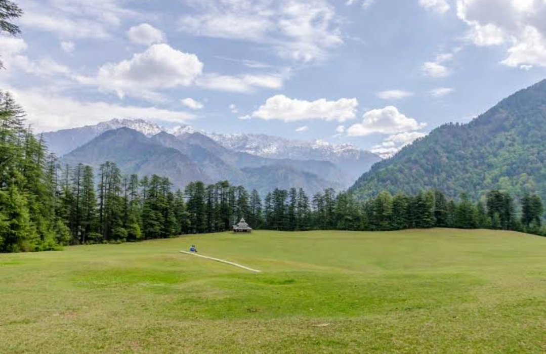 हिमाचल का 'पहलगाम' है शाघड़ का मैदान, इसे कहते हैं हरियाली का 'समंदर'