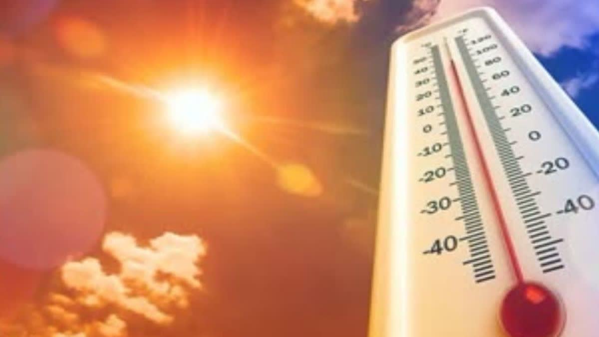 Haryana Heatwave Alert