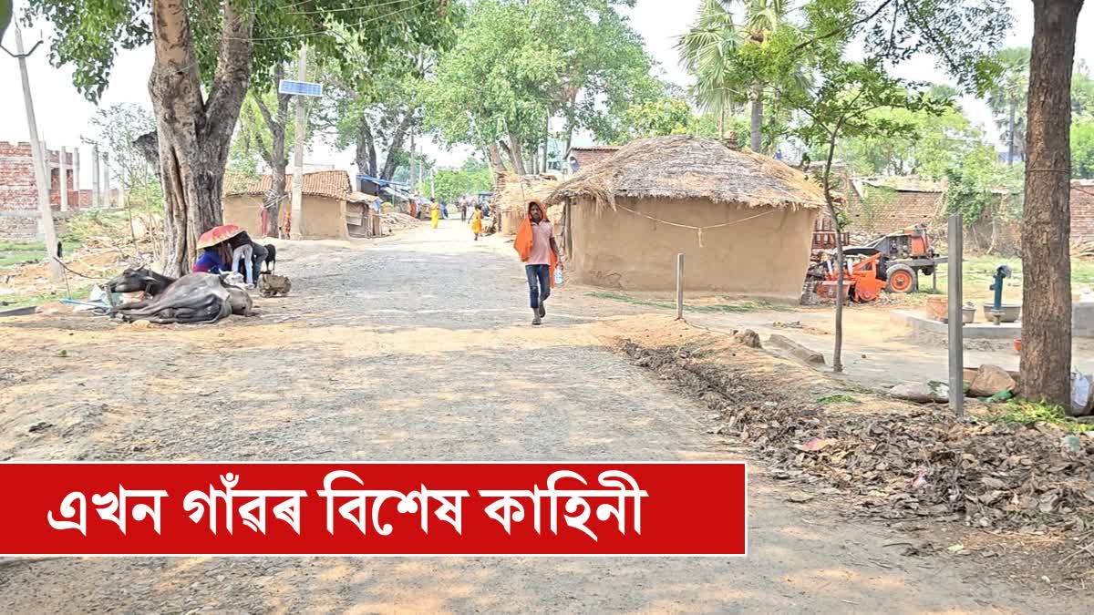 BIHAR VEGETARIAN VILLAGE