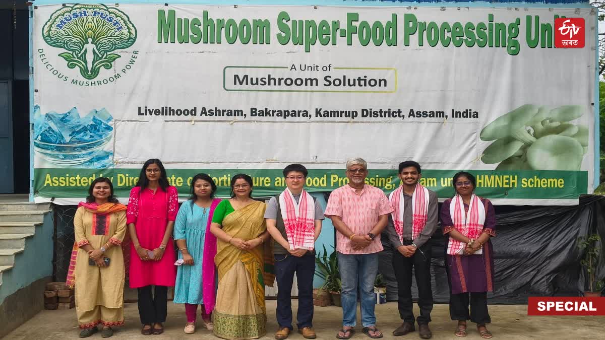 Mushroom farming