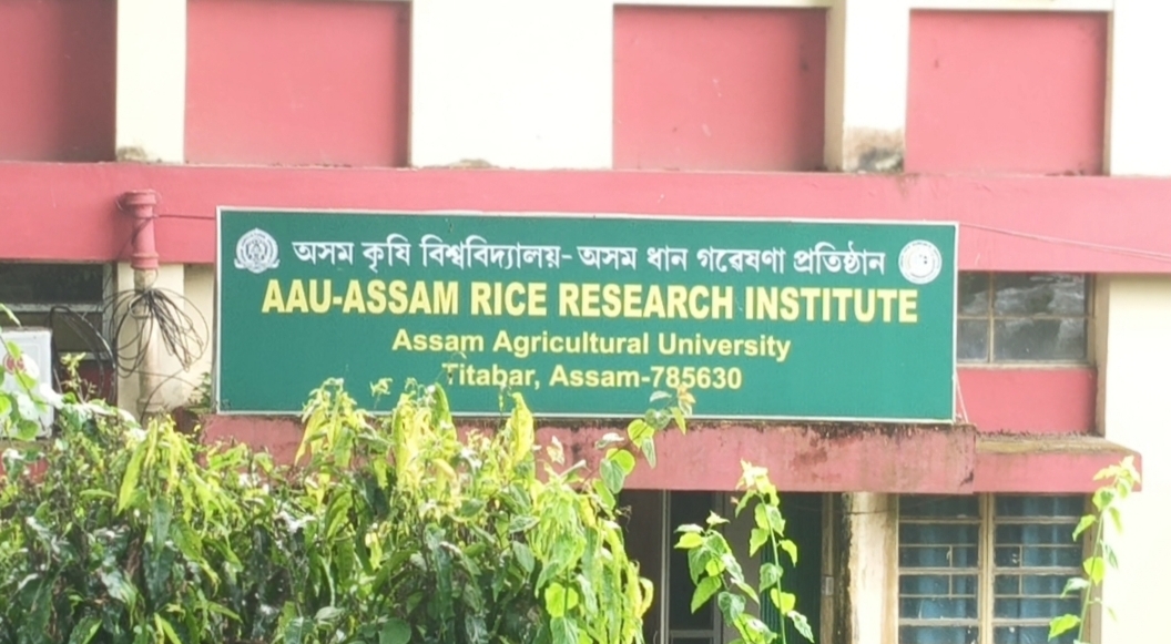 Assam Rice Research Institute