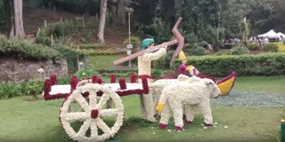 ஊட்டி தாவரவியல் பூங்காவில் மலர் கண்காட்சி இன்று தொடக்கம்
