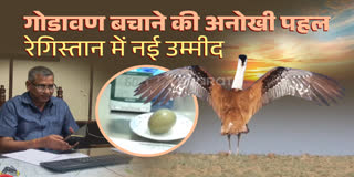 Great Indian Bustard conservation initiative in Rajasthan