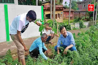 nature lover plants trees alongside the Kampur-Kathiyatoli road in Kampur