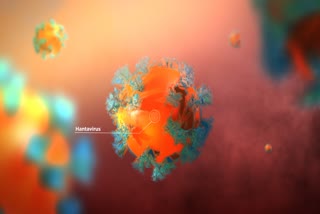 HANTAVIRUS SYMPTOMS