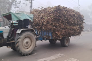 Farmers are ready to launch campaigns against the export ban