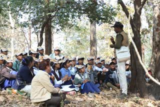 PENCH TIGER RESERVE