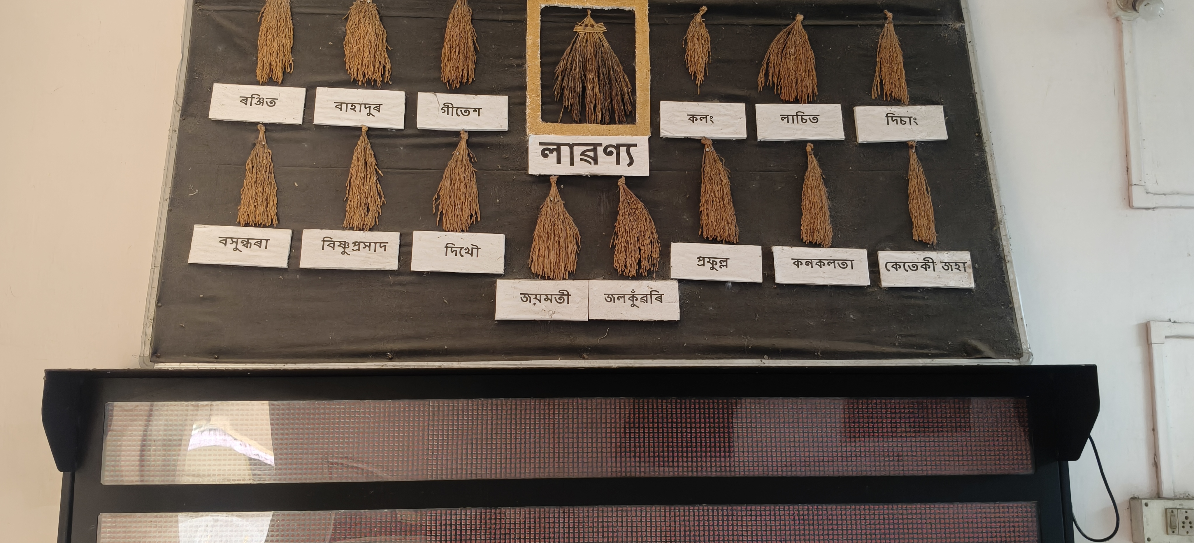 Assam Rice variety
