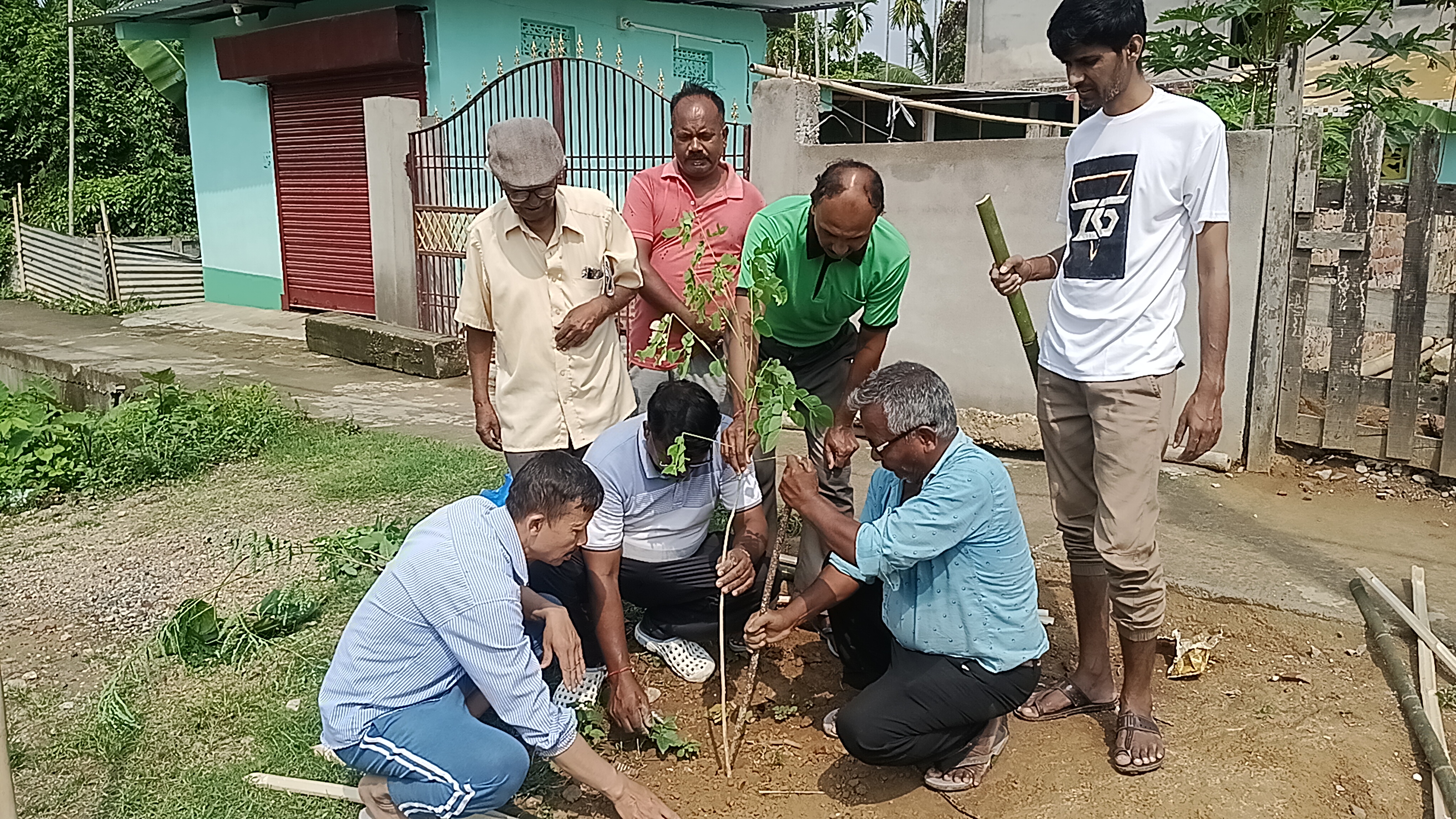 nature lover plants trees alongside the Kampur-Kathiyatoli road in Kampur