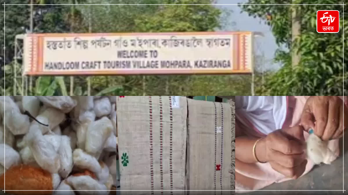Kaziranga handloom tourism village