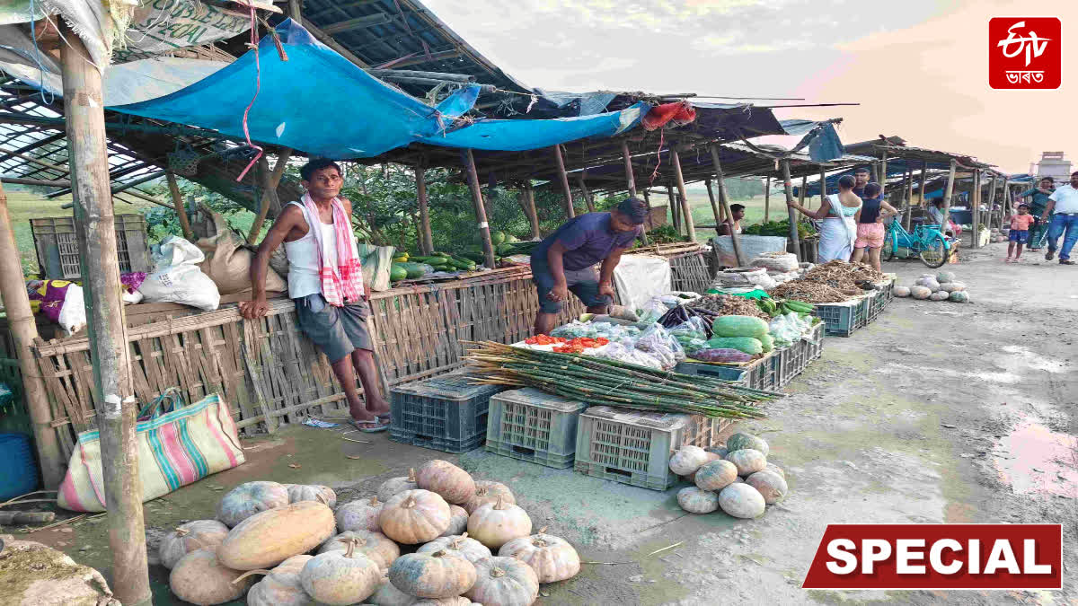 A special report on the famous pumpkin market of Upper Assam