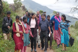 IDUKKI COLLECTOR V VIGNESHWARI IAS  COLLECTOR VISIT TRIBAL VILLAGE  TRIBAL VILLAGE  LATEST NEWS IN MALAYALAM