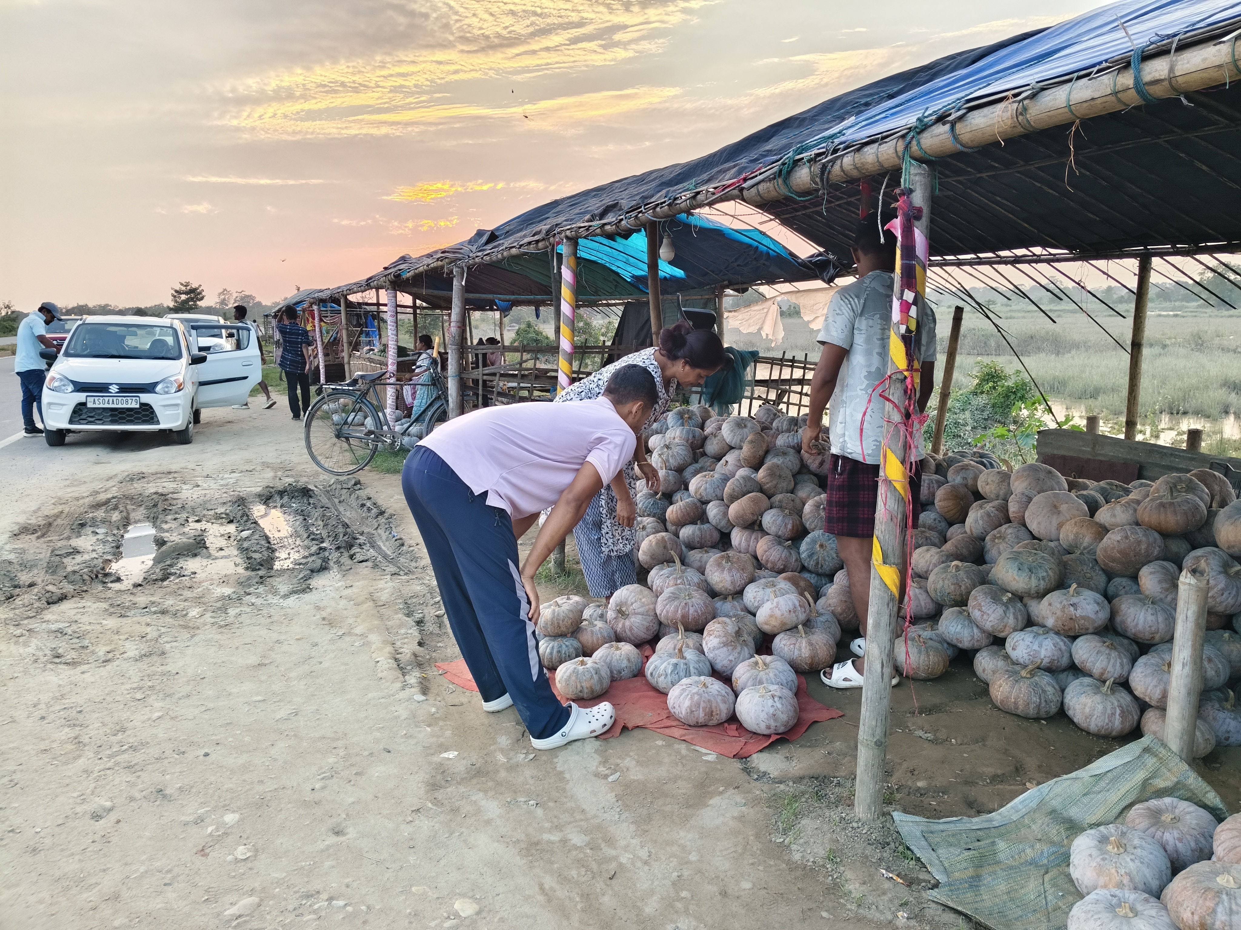 A special report on the famous pumpkin market of Upper Assam