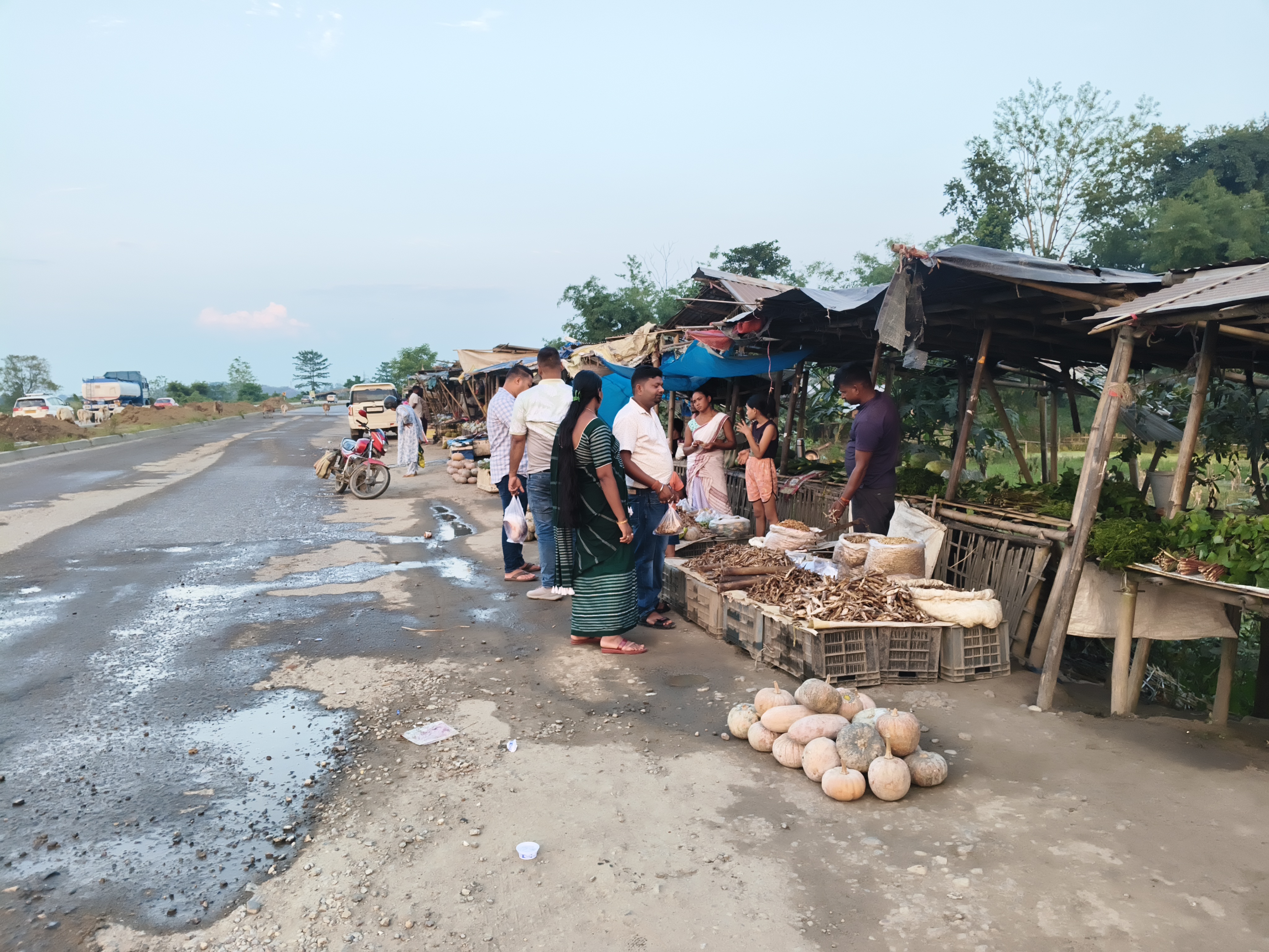 A special report on the famous pumpkin market of Upper Assam