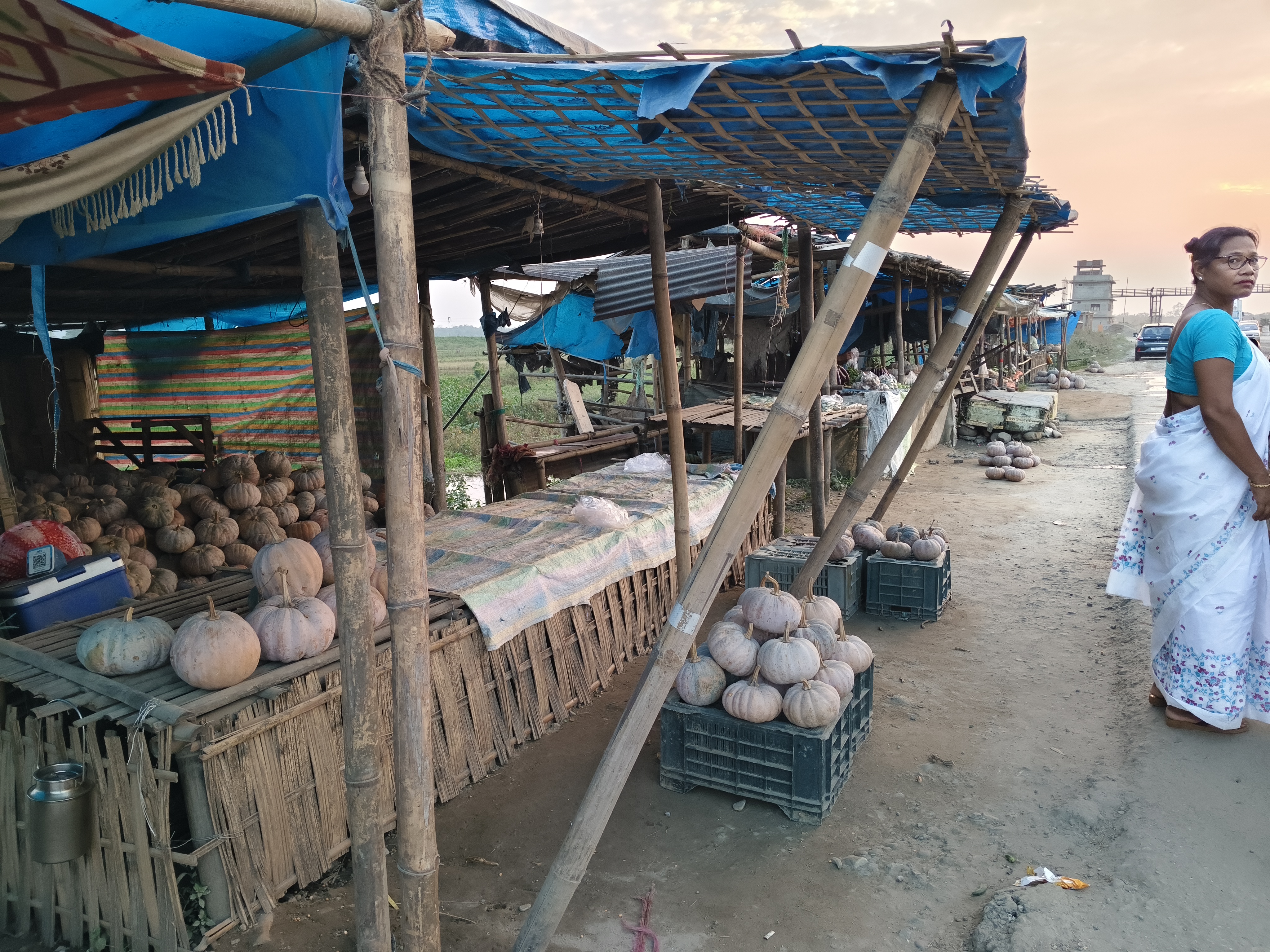 A special report on the famous pumpkin market of Upper Assam